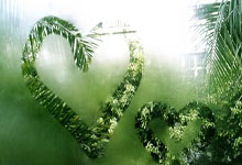 激情澎湃，女足比赛的震撼力无人能逃避