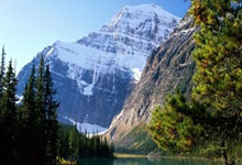 激情澎湃，女足比赛的震撼力无人能逃避