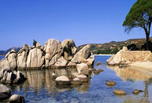 身手矫健的足球勇士们在赛场上一决高下